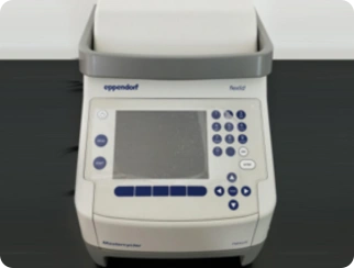EPPENDORF PCR扩增仪