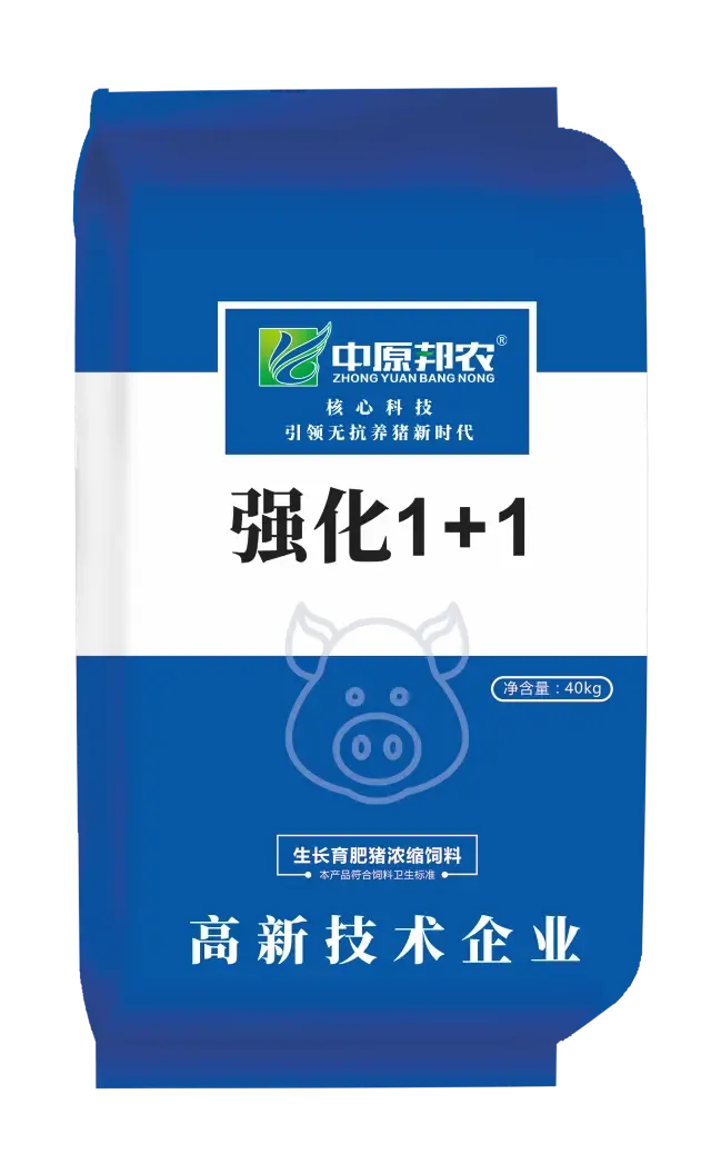 g4159-强化1+1.webp