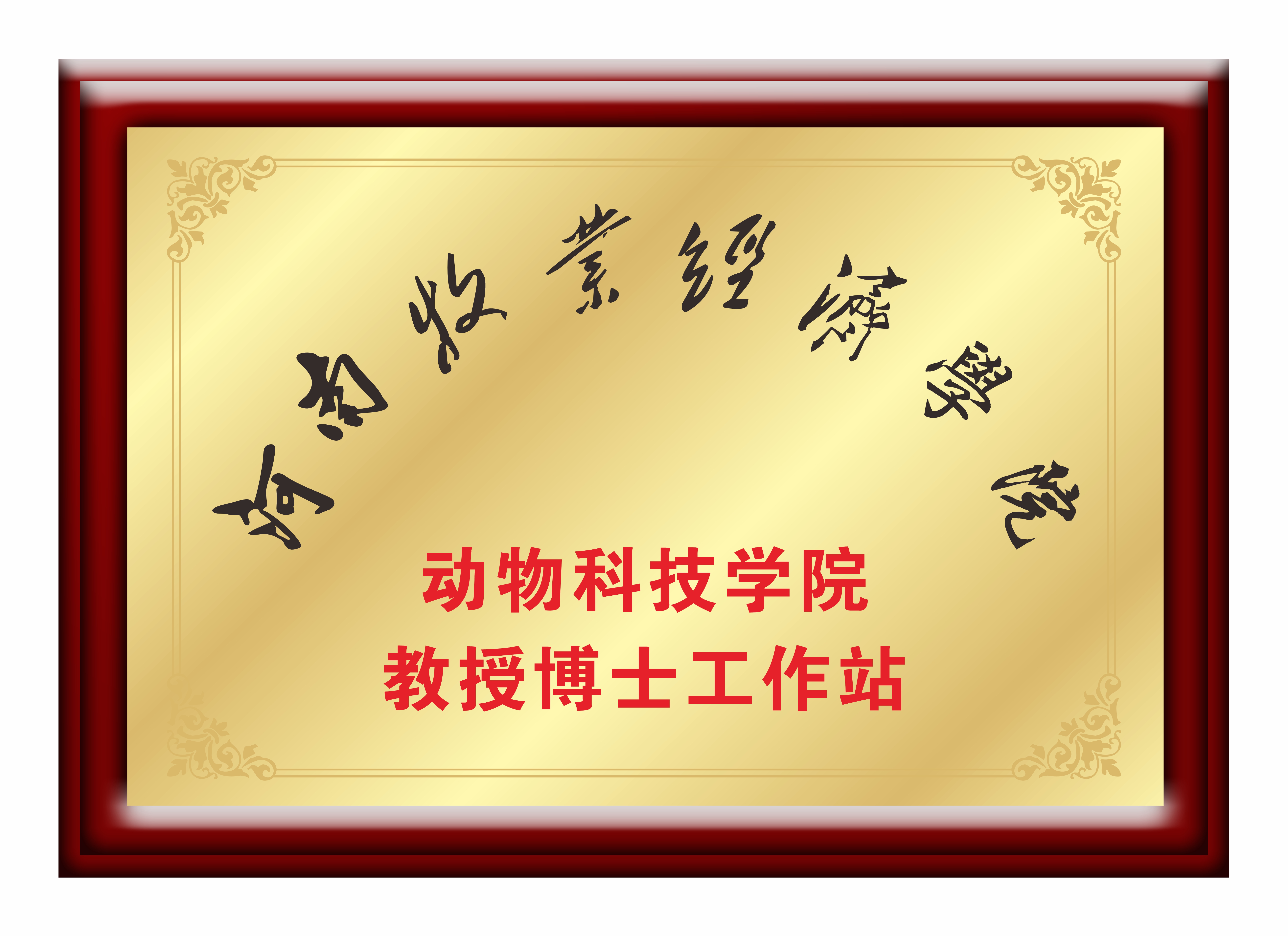 荣誉资质