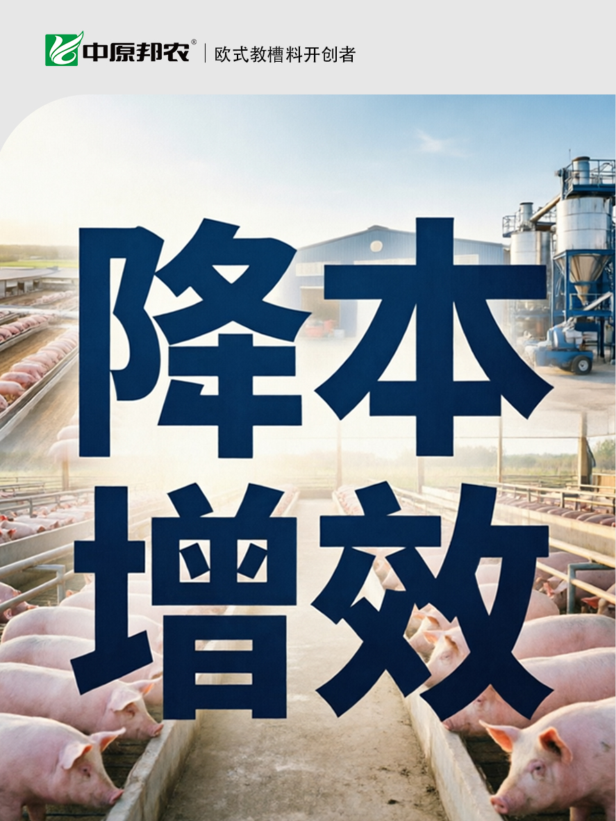 "活"下去,就是最大的胜利——猪价低谷期,中原邦农与您共寻“降本”突围之路!